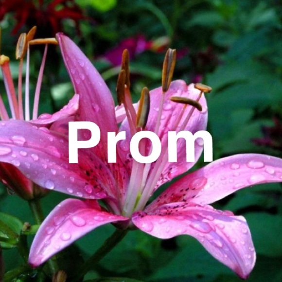 Prom Items! - Picture 1 of 1